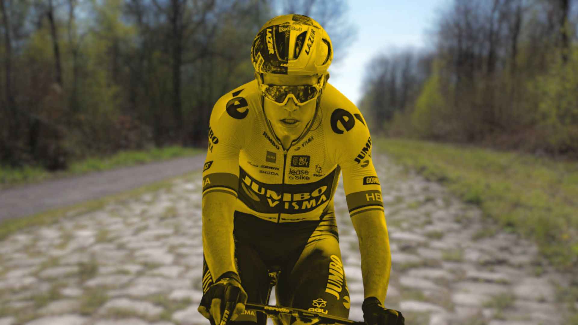 Wout Van Aert - Puntero